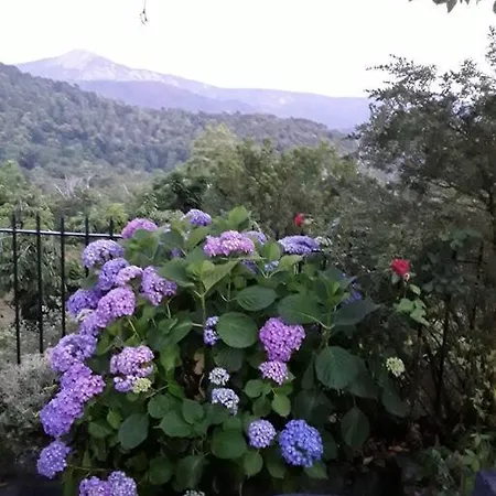 Petit Coin De Paradis Holiday home Evisa